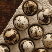 Coturnix quail eggs in an egg carton.