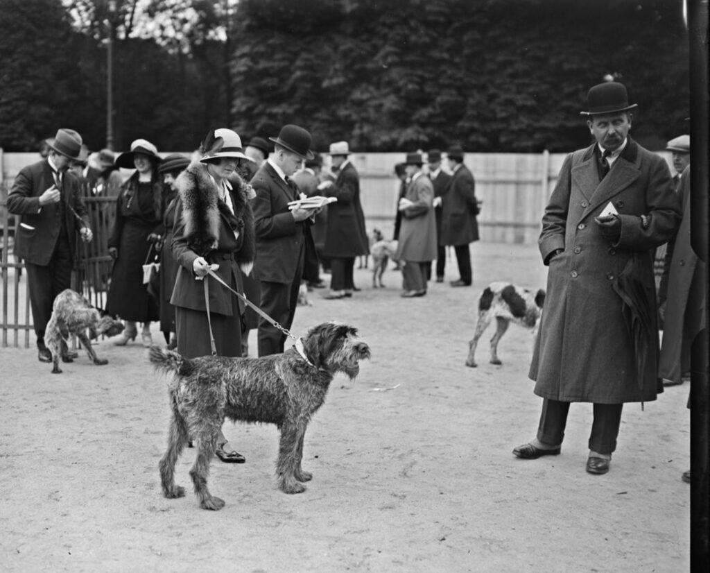 A dog show in Paris, France in 1923. Men and women mill around holding leashed dogs.