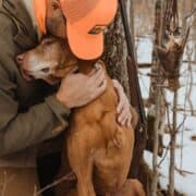 A Vizsla with one front leg hugs his owner in the woods next to a hanging dead American woodcock.