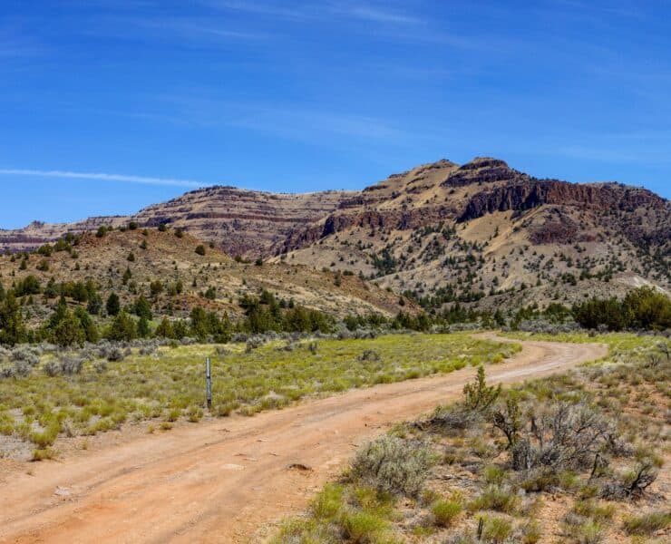 A road winds down grassy and rocky hills on BLM land in Utah.