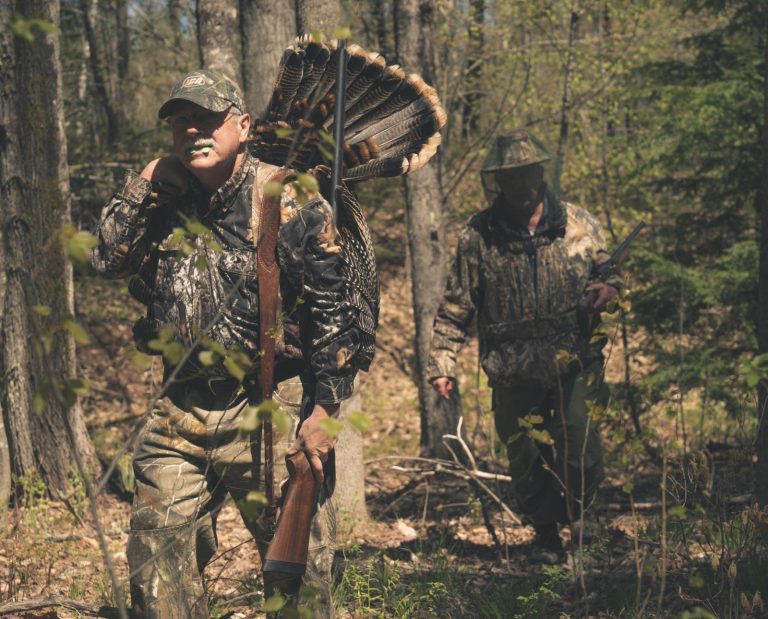 Two men spring turkey hunting walk out of the woods with a gobbler.