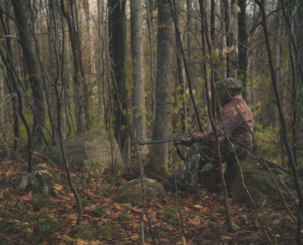 A spring turkey hunter sits on a rock, calling in a gobbler in the forest.