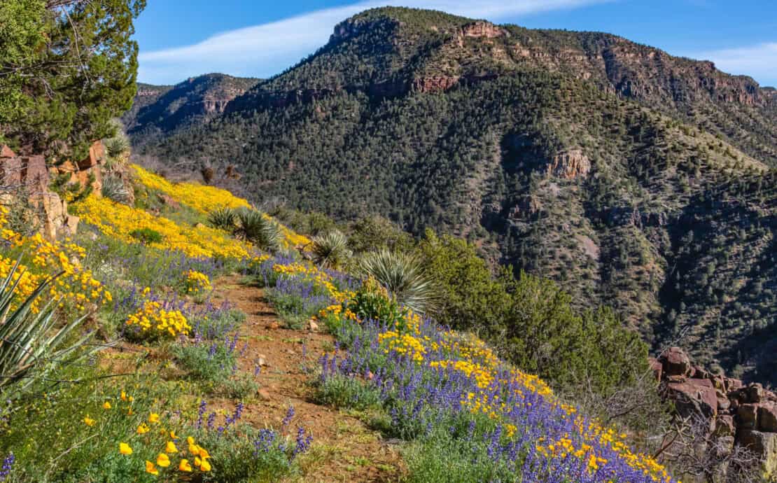 National Forests Public lands in Arizona
