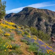 National Forests Public lands in Arizona