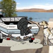 An illustration of a mussel detection dog sniffing invasive mussels on a boat.