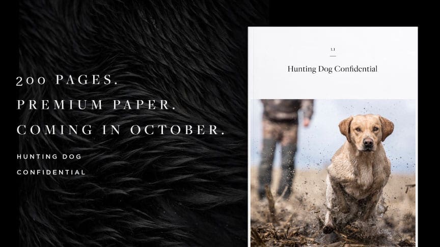 Front cover of issue one of hunting dog confidential magazine. 