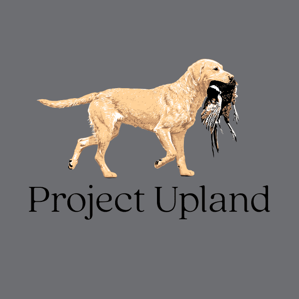 Close-Up-Yellow-Labrador-Retriver-Design Close up if the Yellow Labrador Retriever from a t-shirt design
