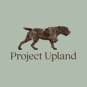 Close up of the Wirehaired Pointing Griffon shirt design