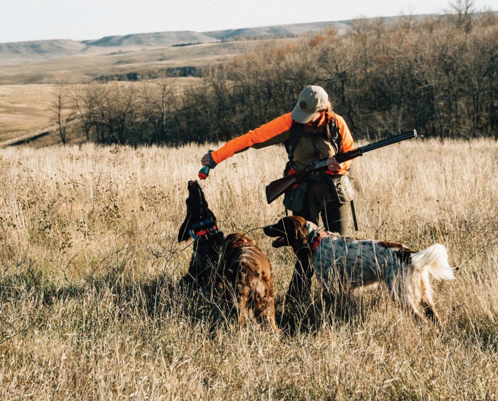 Deutsch Langhaar hunting in North America