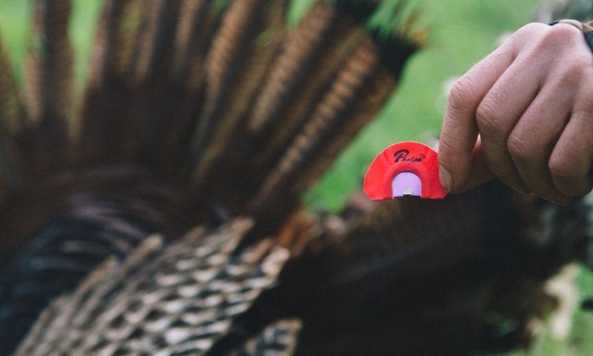 A Diaphragm Turkey Call also called  a mouth call. 