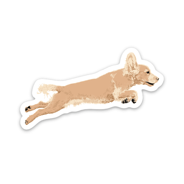 thumbnail image 2 of Buy English Cocker Spaniel Dog Sticker Online 2 of 10