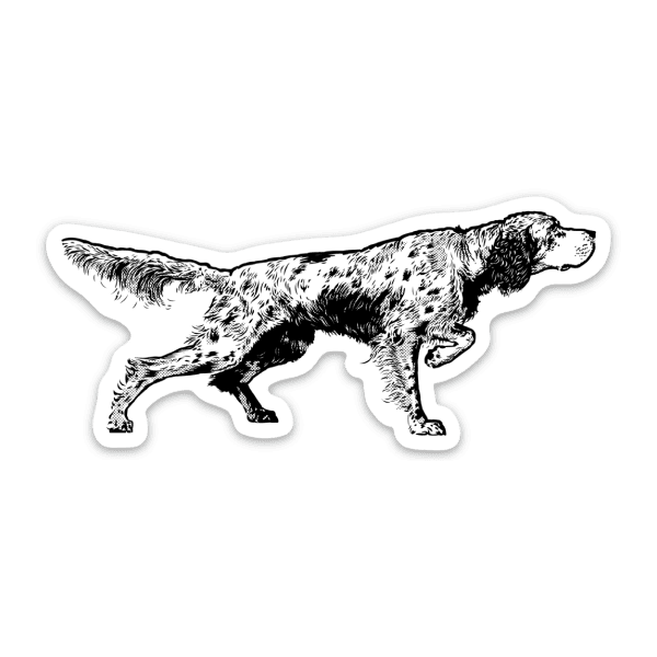 Premium English Setter Sticker Project Upland Gear