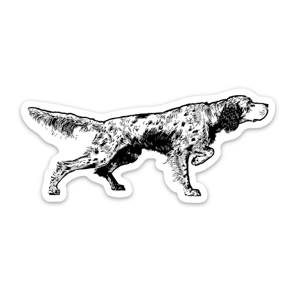 thumbnail image 2 of CafePress English Setter Sticker Square Bumper Sticker Car Decal 2 of 10