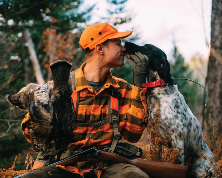 The most popular bird dog breed, the English Setter, with an upland hunter and a ruffed grouse.