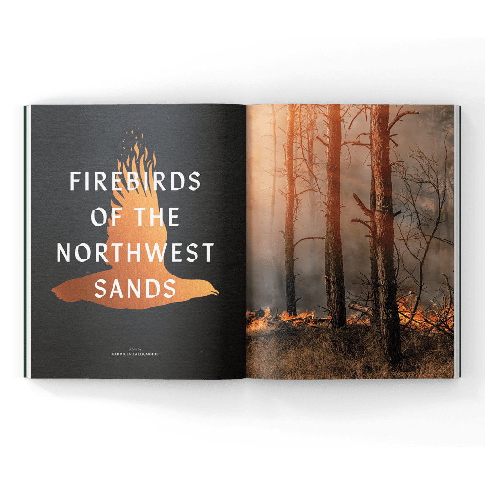 fire management for wild birds in a magazine