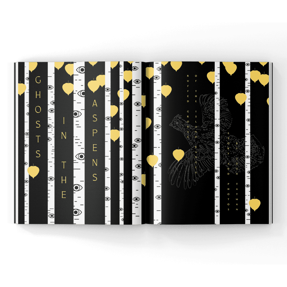 Aspens and ruffed grouse in a magazine