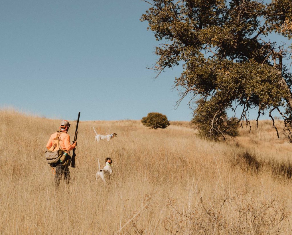 hunting with dogs in Arizona 