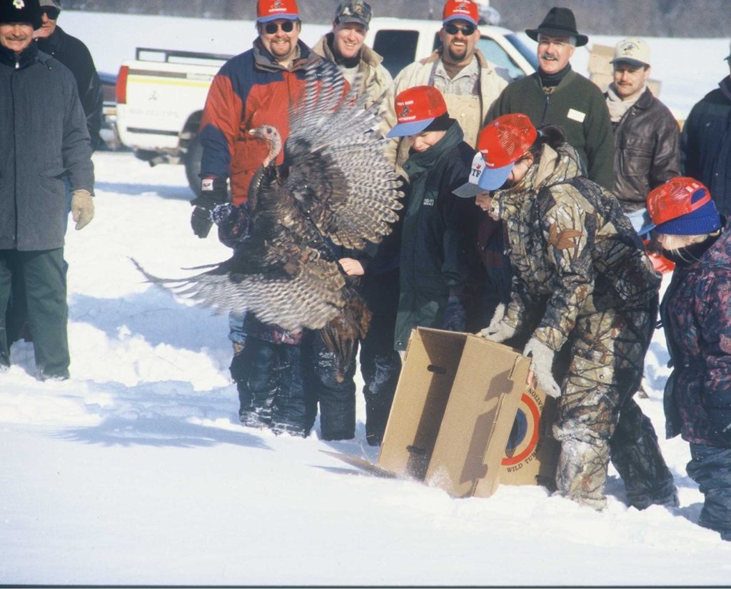 Kids release a wild turkey 