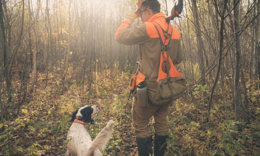 Hartley the English setter with Project Upland Podcast host Nick Larson hunting grouse in Minnesota. 