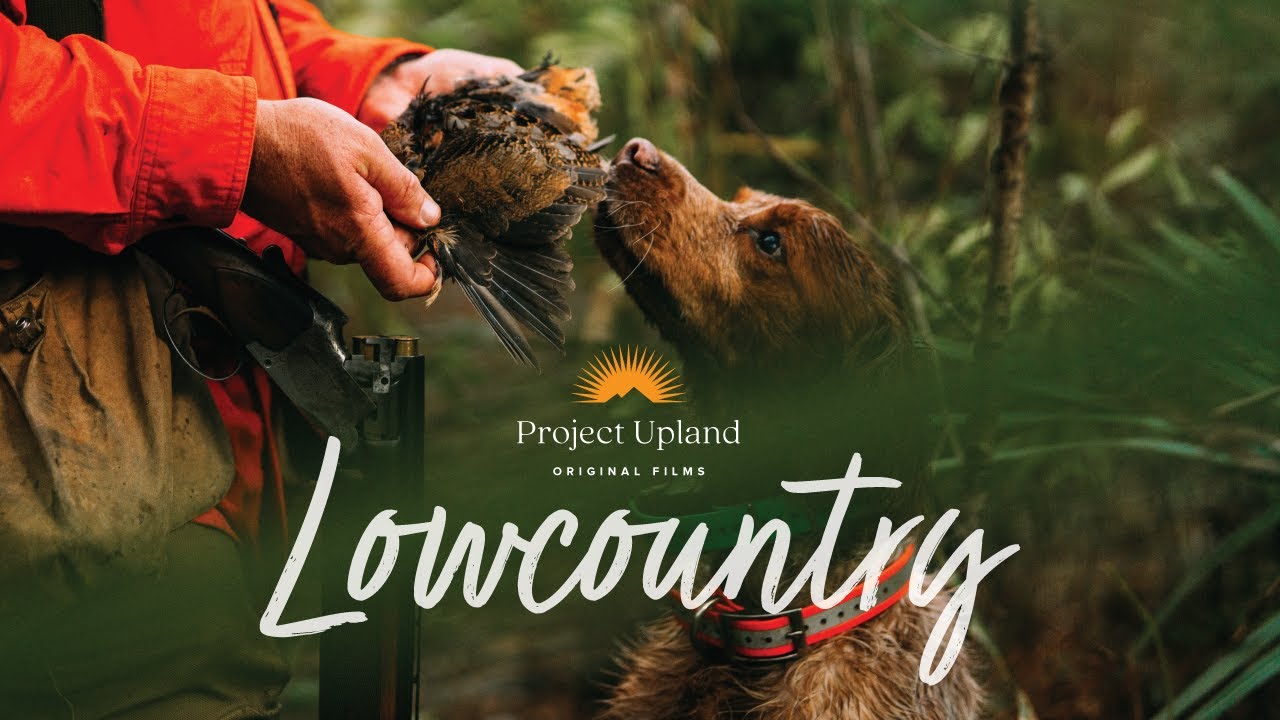 Lowcountry Hunting Film Cover