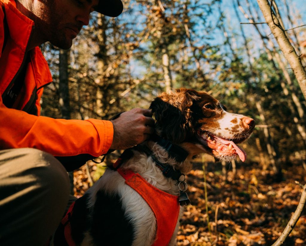 The author with a Springer Spaniel. 
