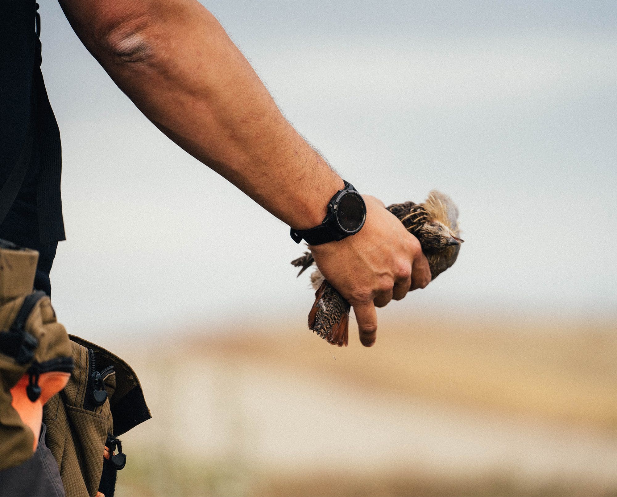 Tyler Webster holds a dead Hungarian Partridge.