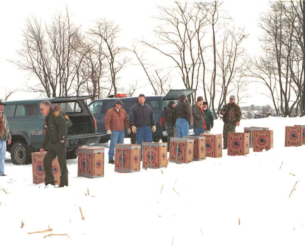 Volunteers and Pennsylvania Game Commission employees are about to release trapped wild turkeys back into the wild.