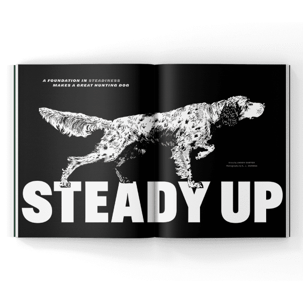Sprring-2024-Steady-Dog-Training-mgazine A magazine spread on steady training pointing dogs
