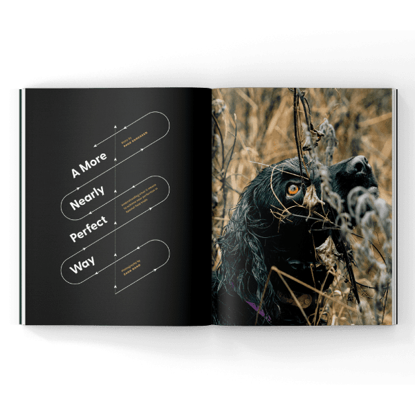 Summer-2024-Issue-Spread Spaniel field trial article in magazine