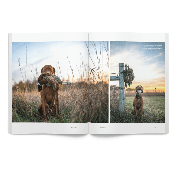 Volume-One-Issue-One-Page1 Volume-One-Issue-One-Page1