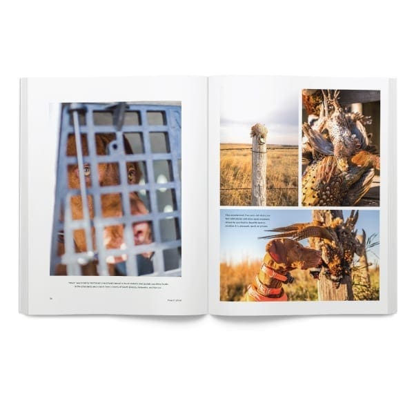 Volume-One-Issue-One-Page2 Volume-One-Issue-One-Page2