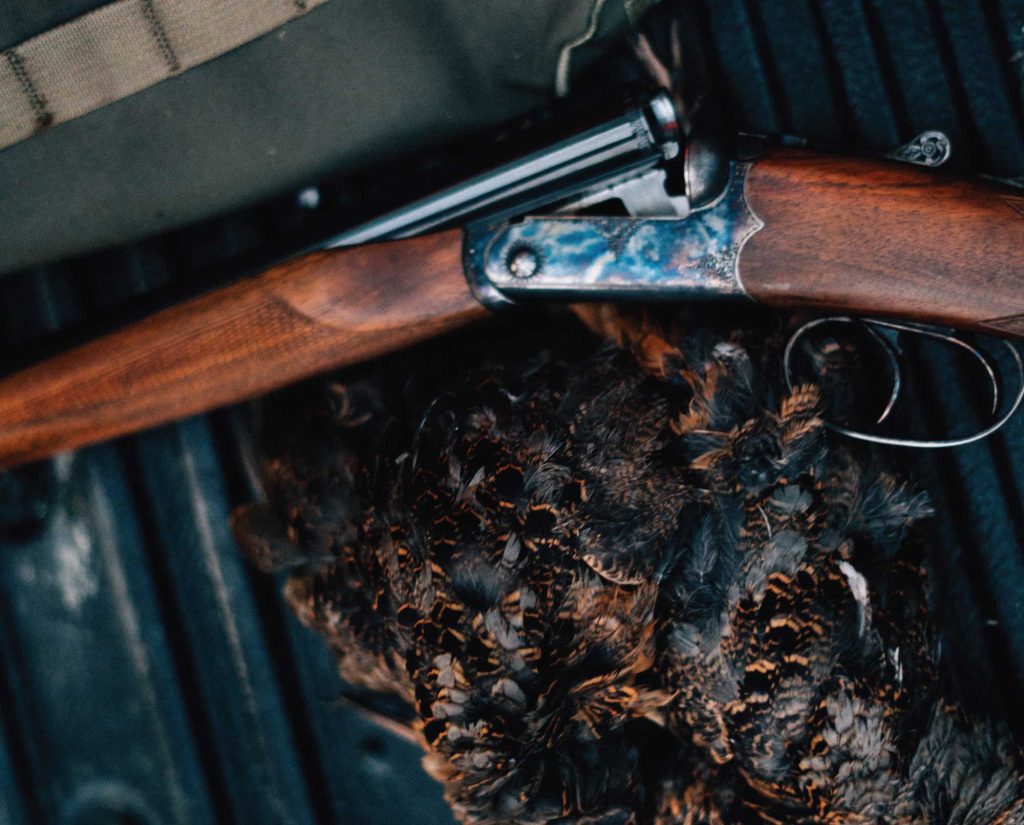 A successful woodcock hunt in Massachusetts 