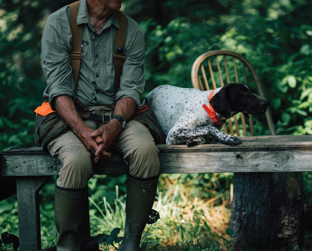 A German Shorthaired Pointer bird dog with an upland hunter