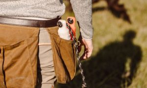 bird dog training bumpers