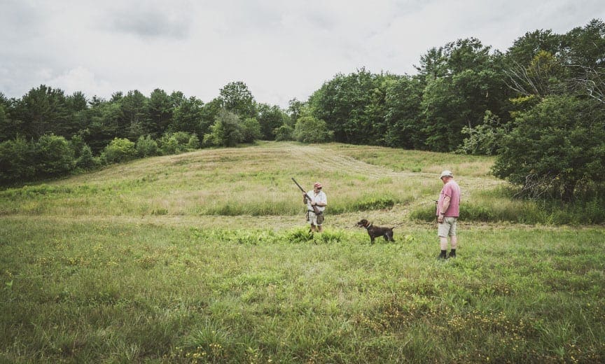 Dave Trahan President of NAVHDA training a bird dog.