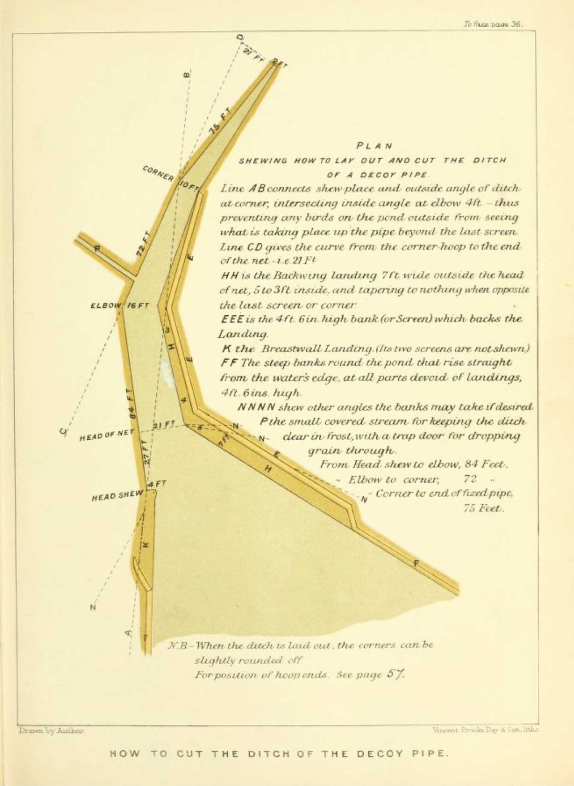 duck decoy pipe plans
