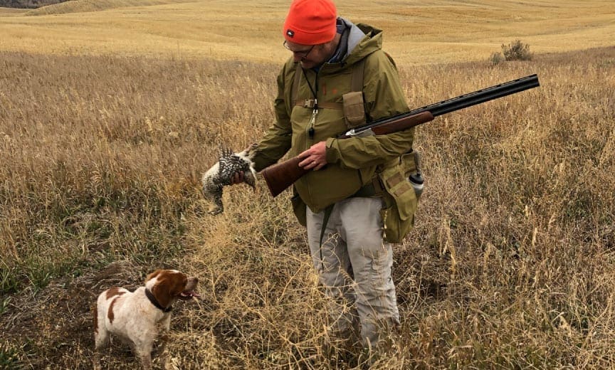 Author Andrew Wayment hunting with a young bird dog.