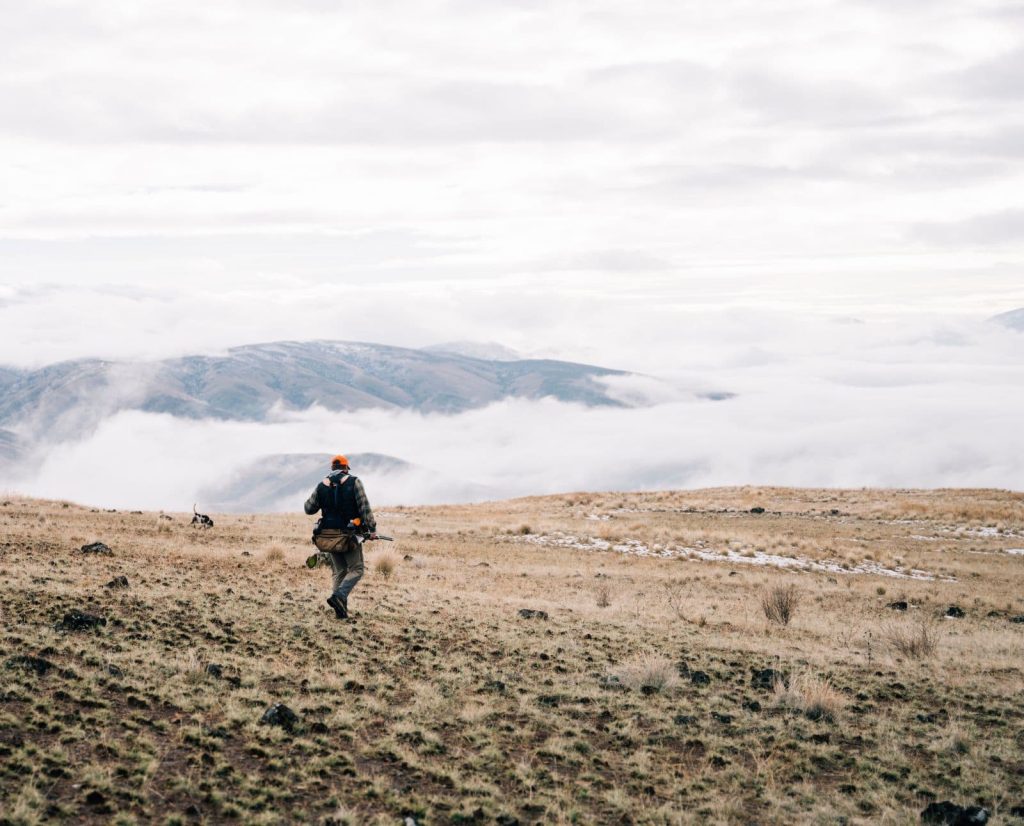 A man and his bird dog hunt on public lands in Oregon.