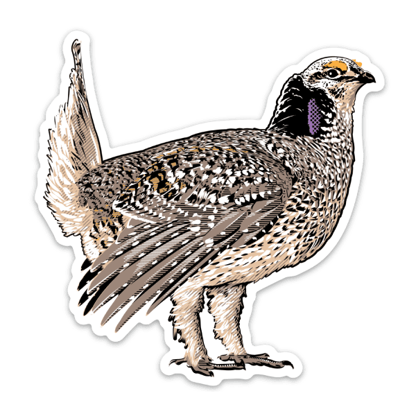 sharp-tailed-grouse-sticker Sharp-tailed grouse sticker