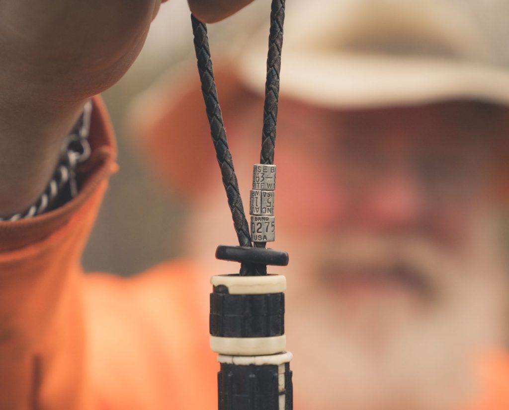 A woodcock hunter holds up the woodcock leg bands he has collected.