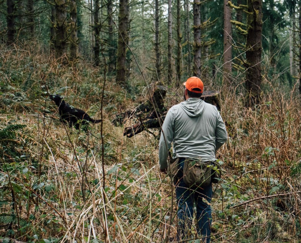 A man follows his blood tracking dog, a versatile hunting dog breed, into the dense woods of Washington state.