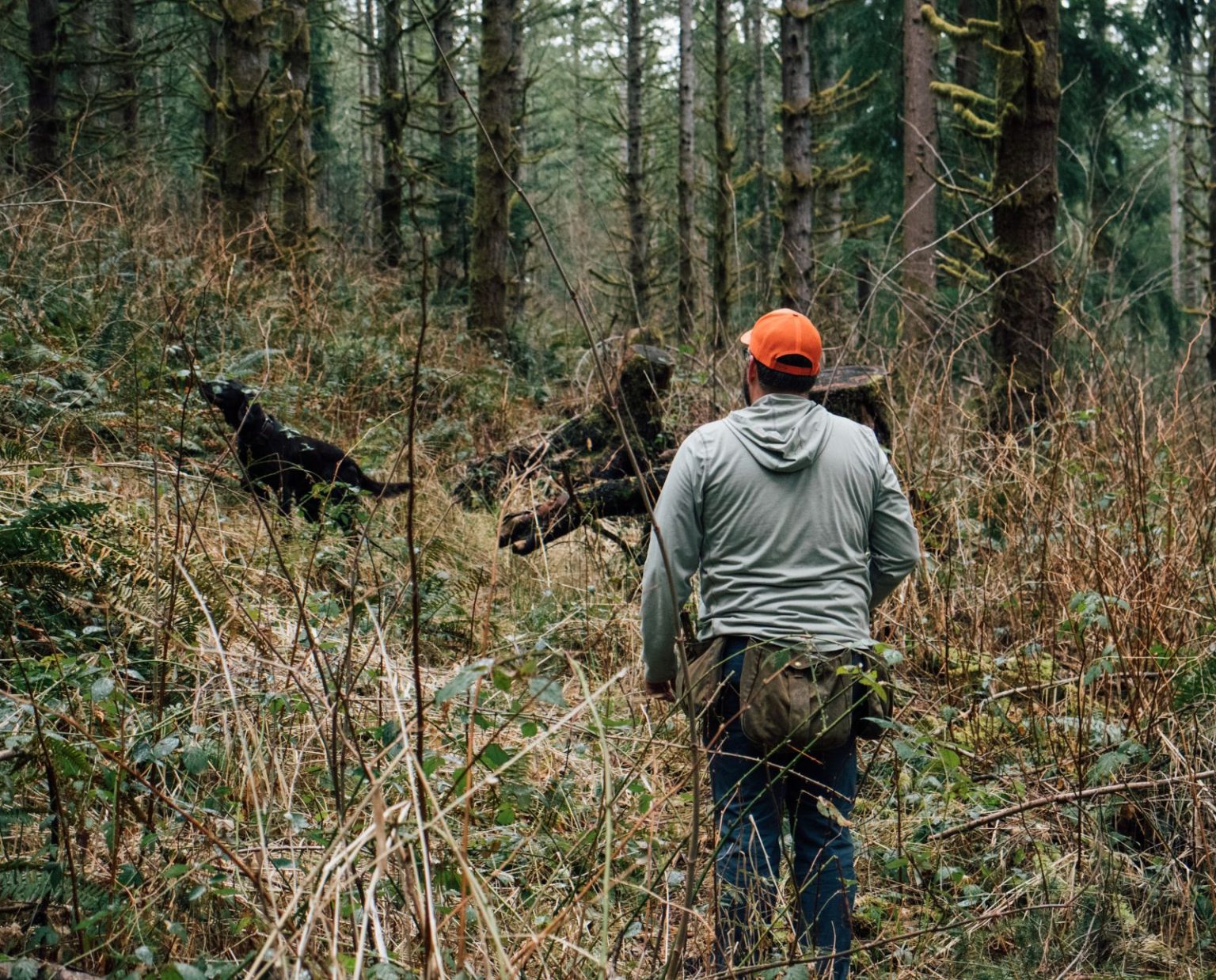 Blood Tracking Big Game with Versatile Hunting Dogs - Project Upland