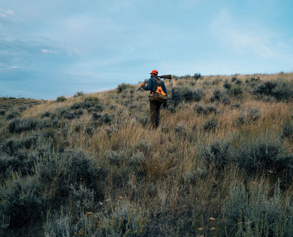 An upland hunter uses the terrain to his advantage as he works through sage grouse cover.