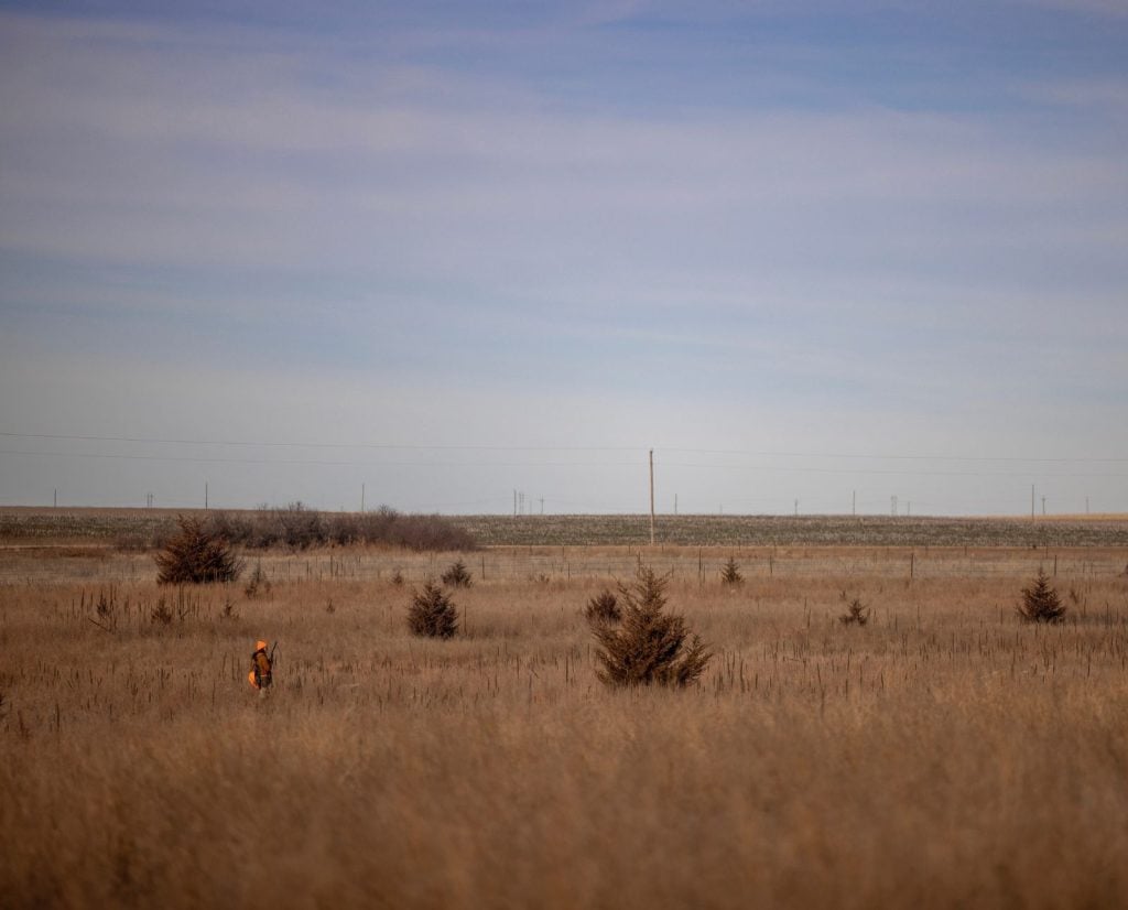 An upland hunter standing near woody cover and a shelterbelt adjacent to agricultural land in Nebraska.
