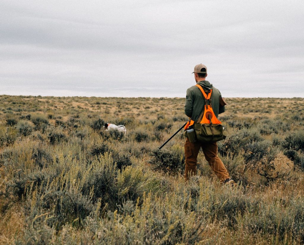 an upland hunter walks behind his bird dog in search of sage grouse.