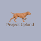 Wirehaired-Vizsla-close-up-design