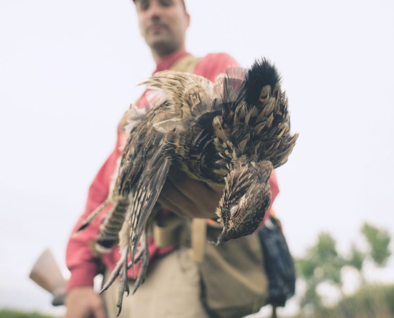 A hunter holds out a ruffed grouse in one hand.