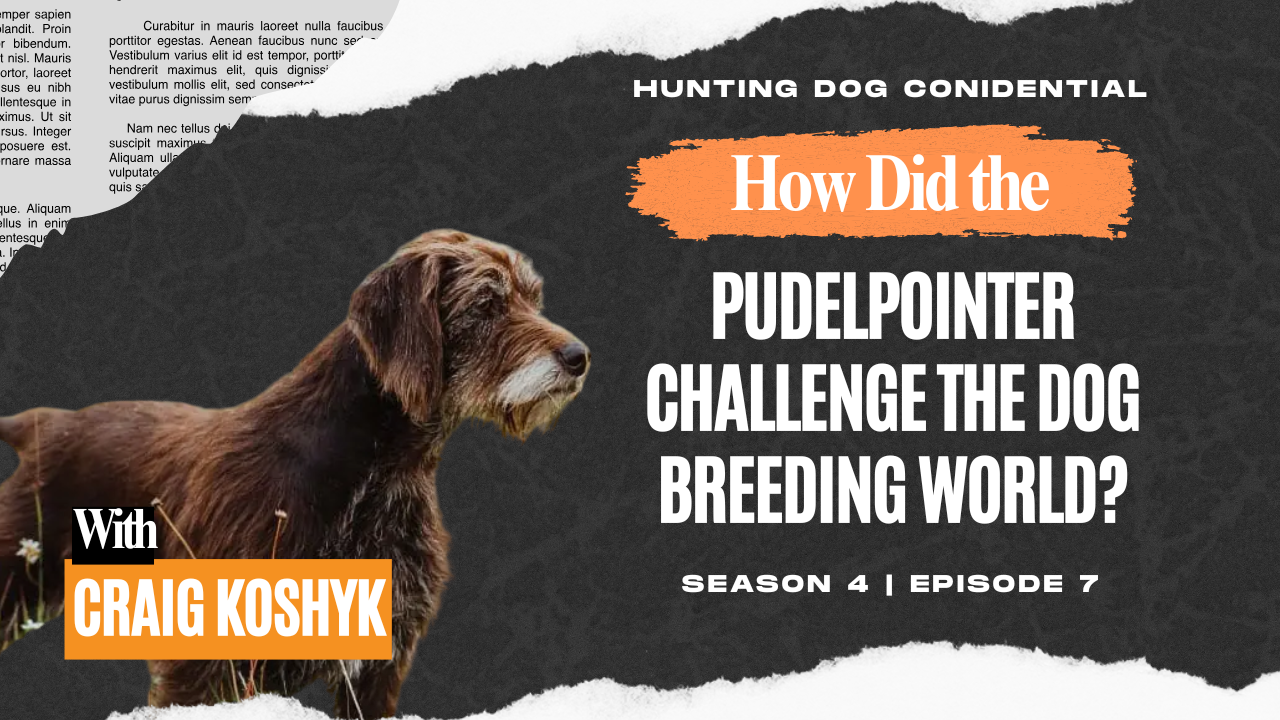 The YouTube video cover of the Pudelpointer podcast