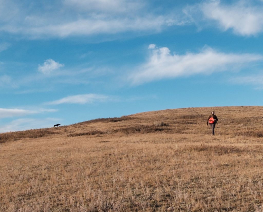 A bird hunter approaches a Braque Francais on point.