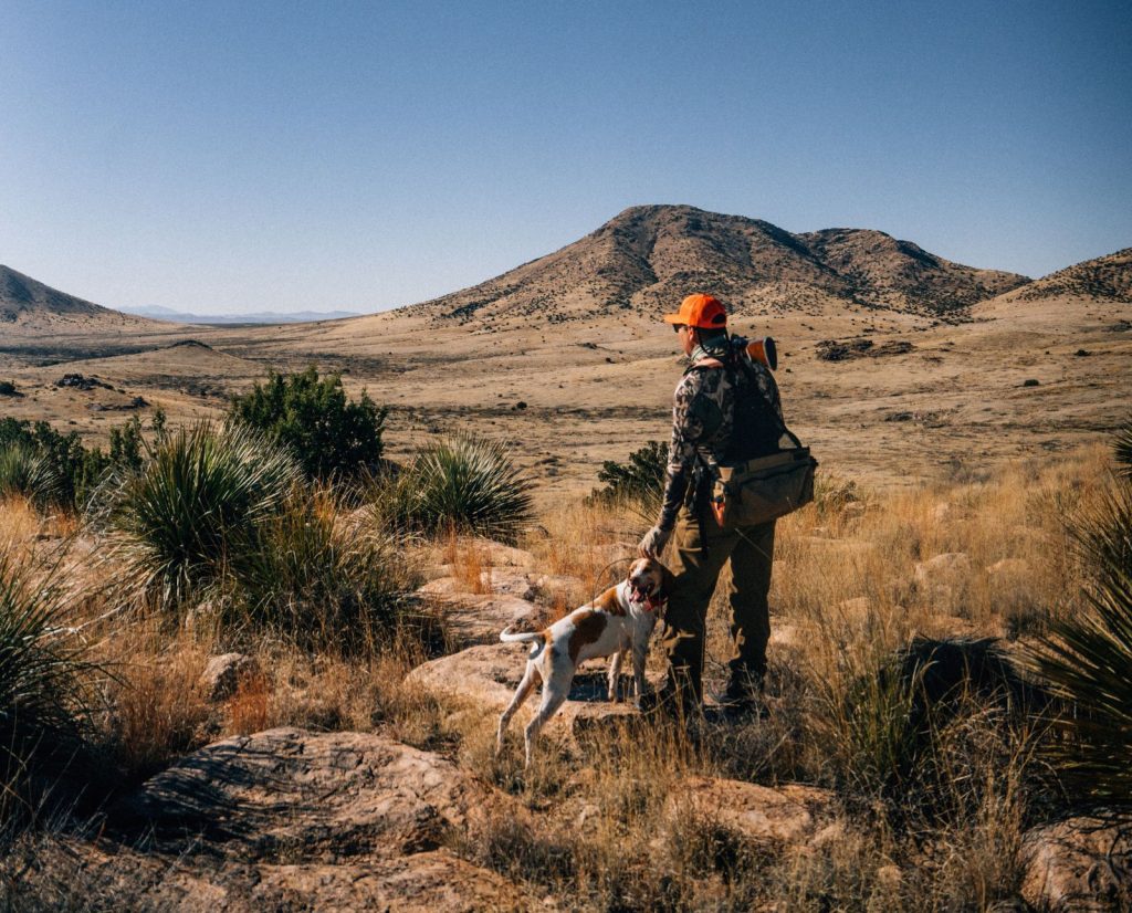 A quail hunter with his Pointer in New Mexico.
